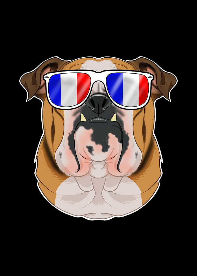 English Bulldog France