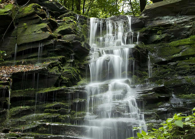 Stony Waterfall in Forest