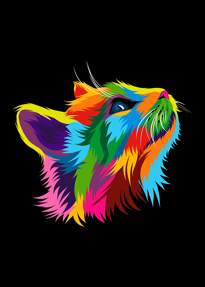 Cat Head Colorful