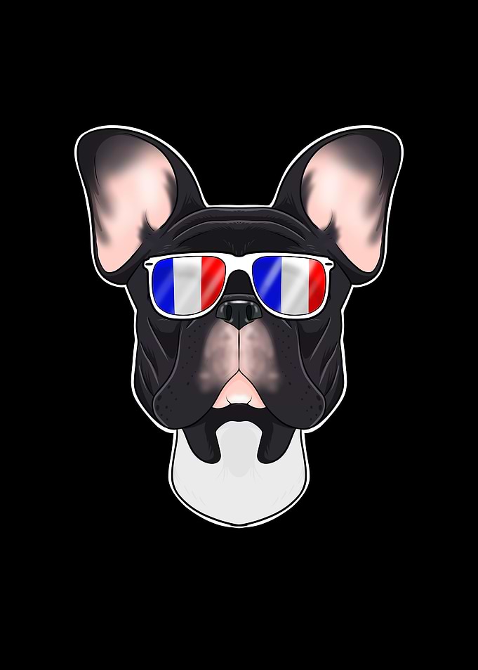 French Bulldog France