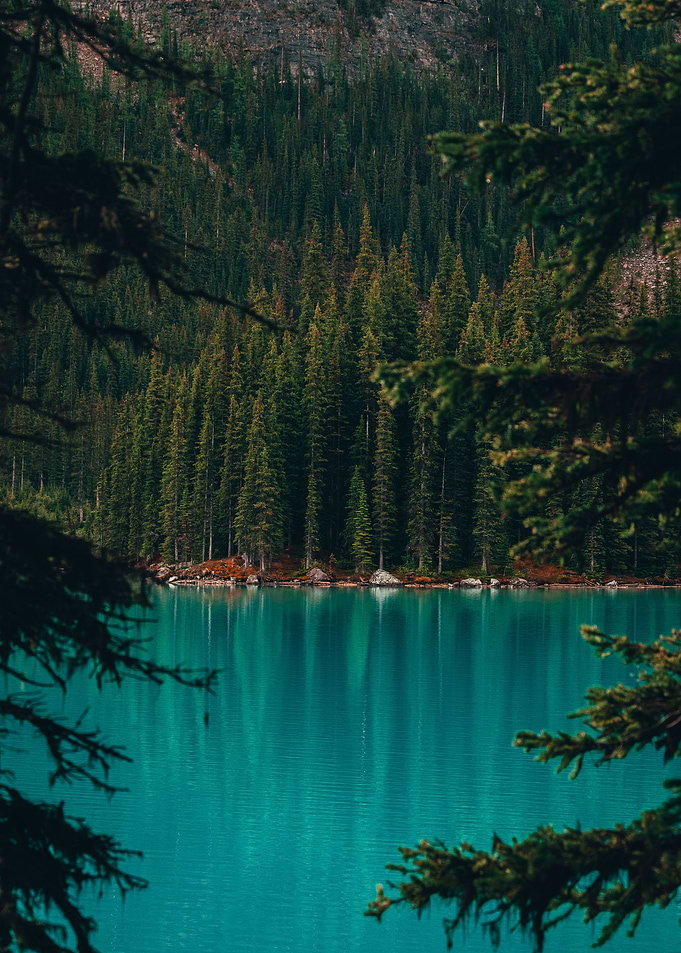Lakeside