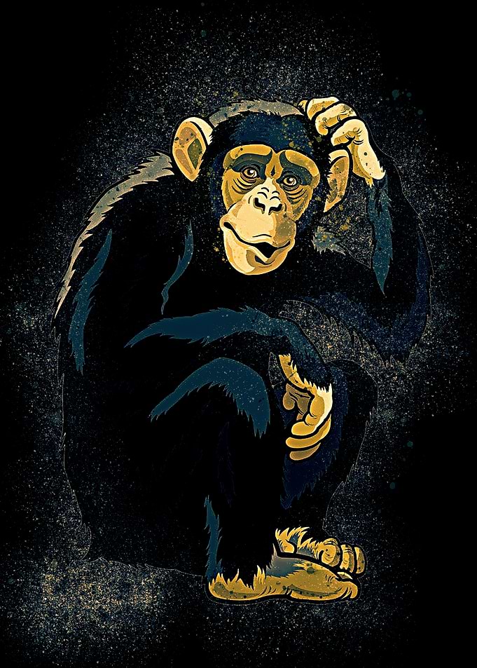 Chimpanzee Monkey