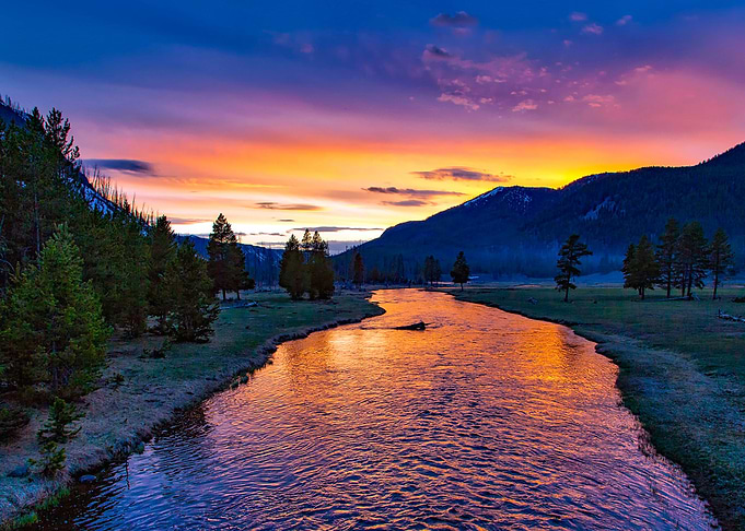 Forest at Lake by Sunset