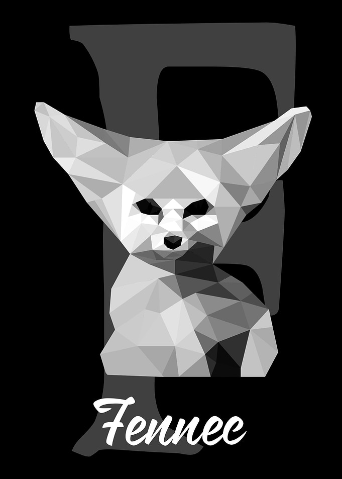 Fennec Fox