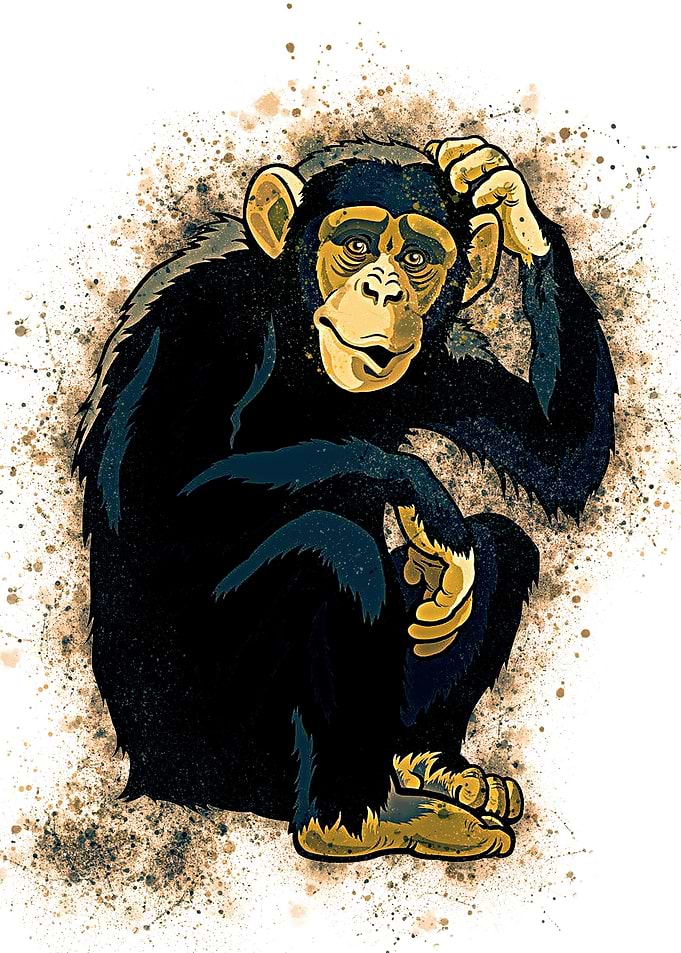 Chimpanzee Monkey
