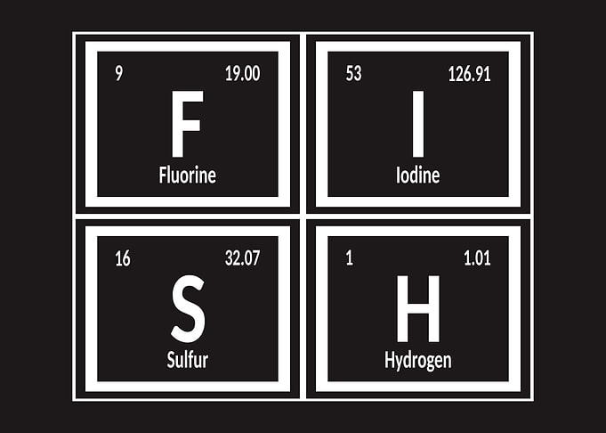 Fish Periodic Table