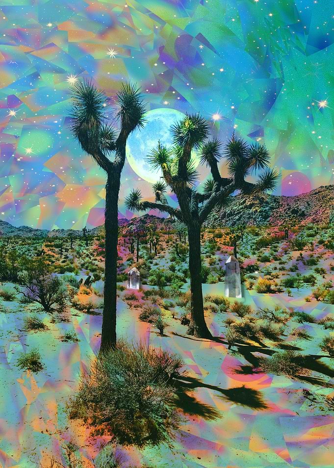 Desert Feelings