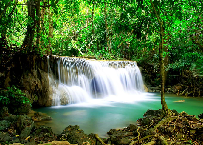 Waterfall Nature
