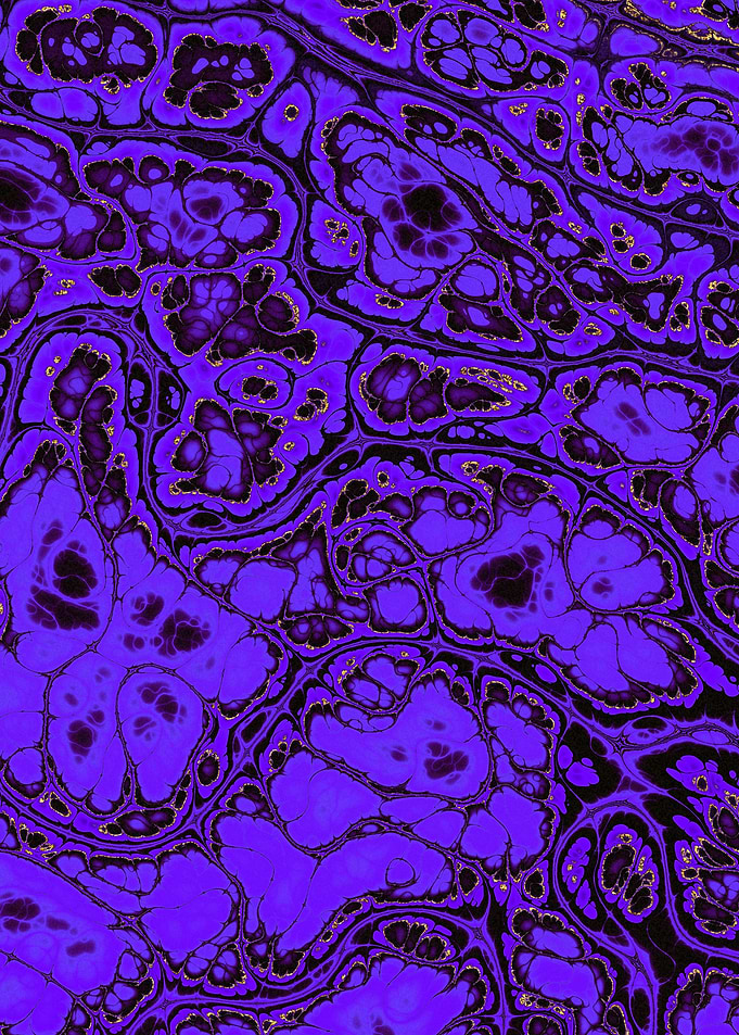 Luxury Purple Marble 14