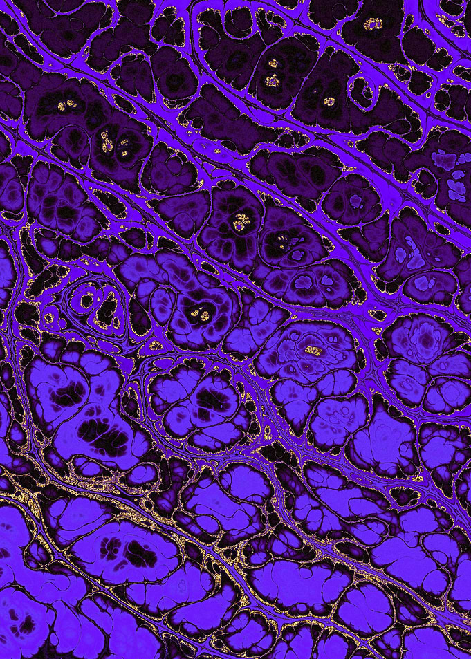 Luxury Purple Marble 18