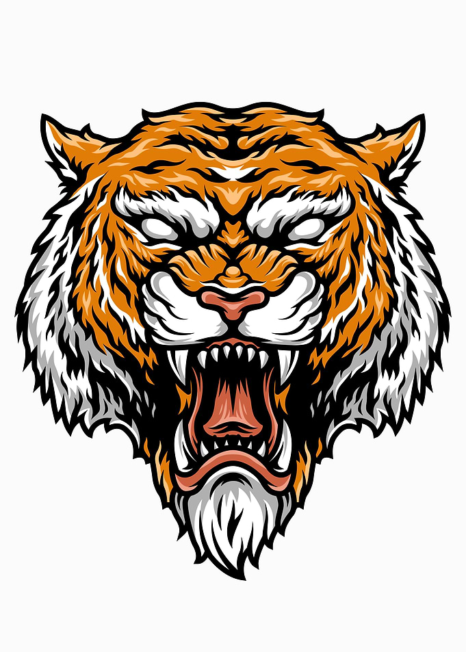 strong tiger head Colorful