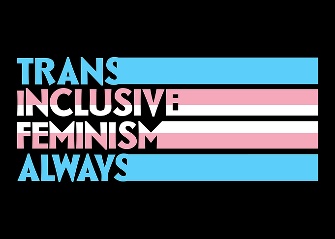 Transfeminism Trans