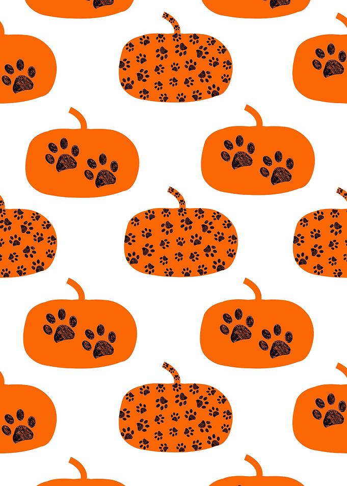Made of paw prints pumpkin