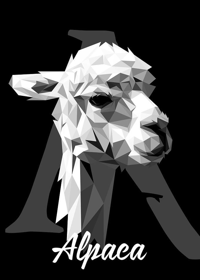 Alpaca