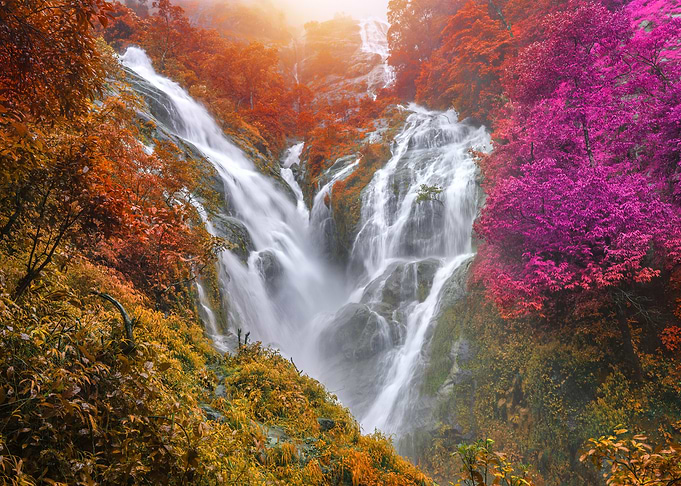 Waterfall Nature