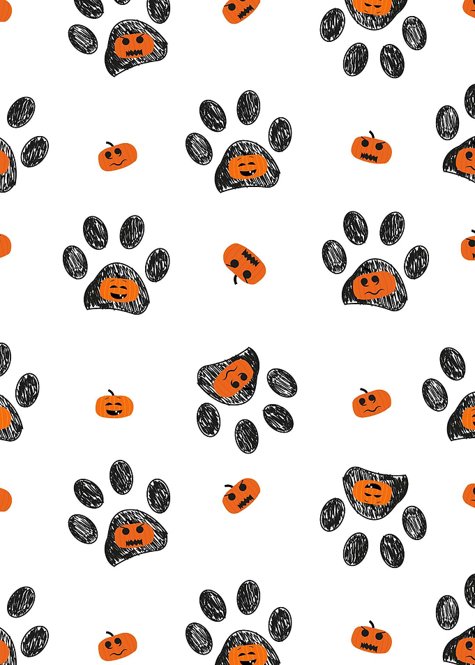 Paw prints pumpkins