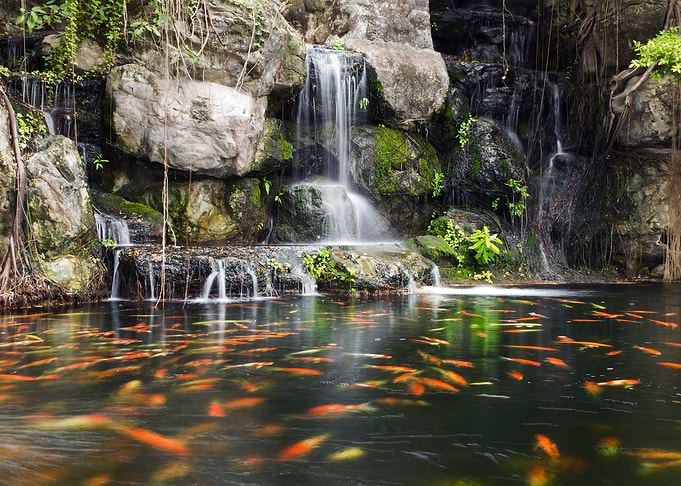 Waterfall Nature