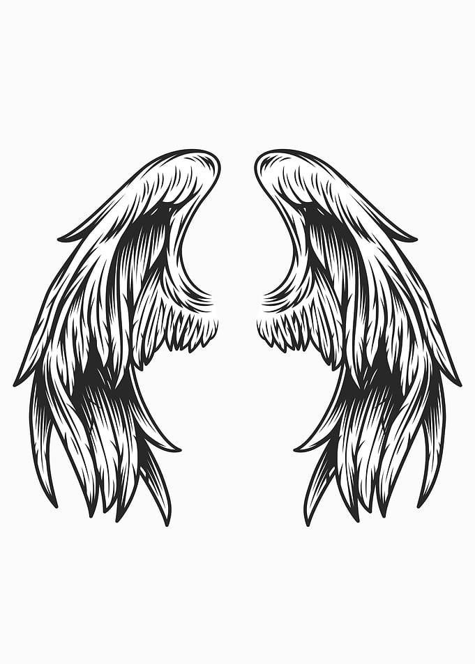 Vintage angel wings
