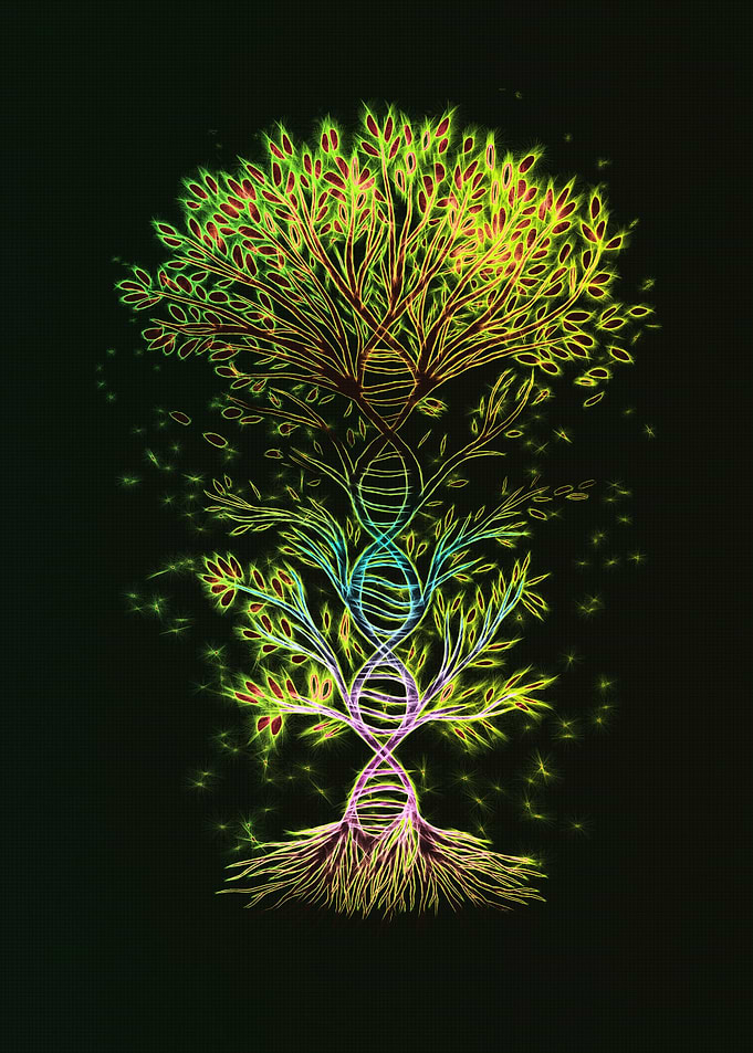 DNA Tree of Life