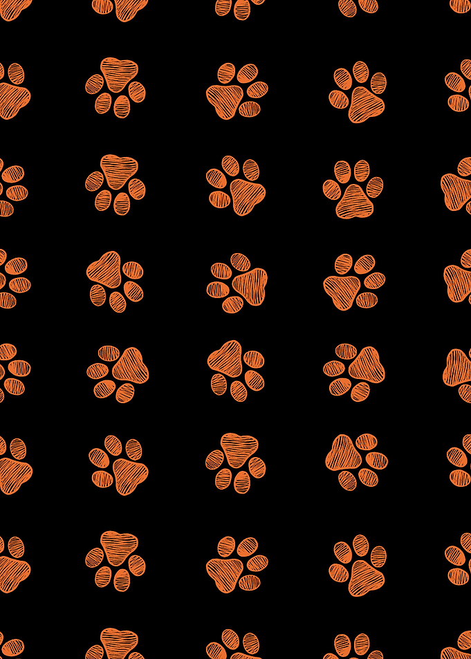 Doodle orange paw print