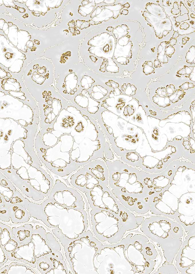 Luxury White Marble 09