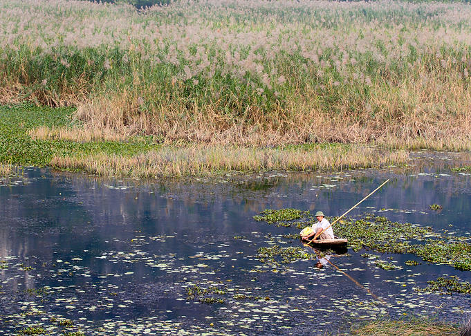 Fishing on the lagoon