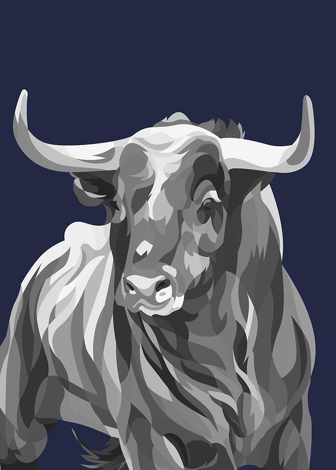 Monochrome cow