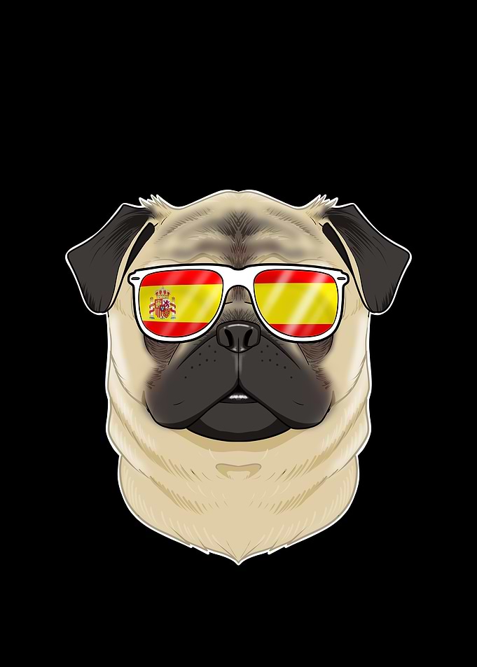 Pug I Spain Sunglasses