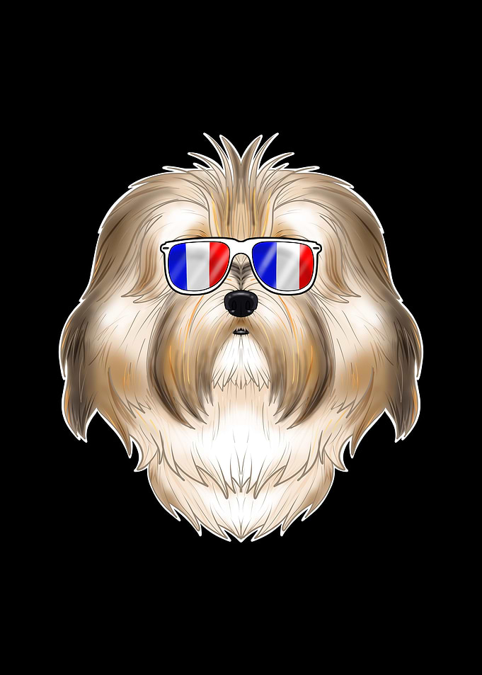 Havanese France Sunglasses