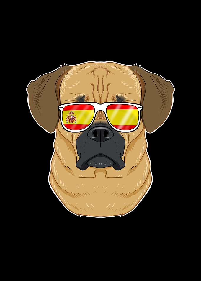 Puggle I Spain Sunglasses