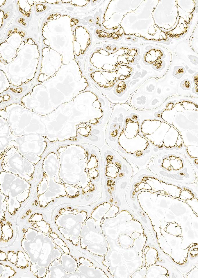 Luxury White Marble 04