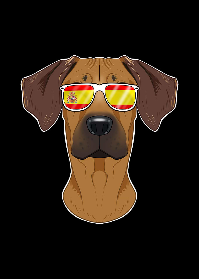 Rhodesian Ridgeback