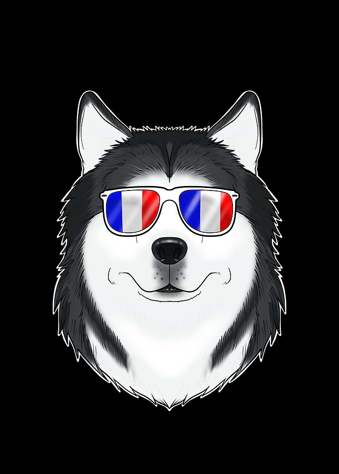 Husky France Sunglasses