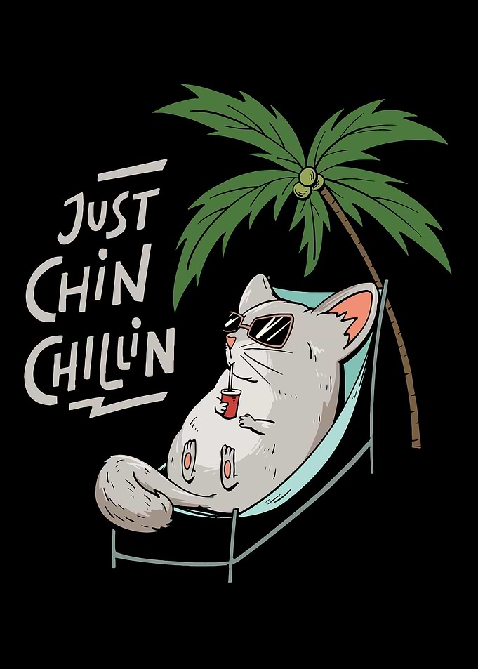 Chinchilla Owner