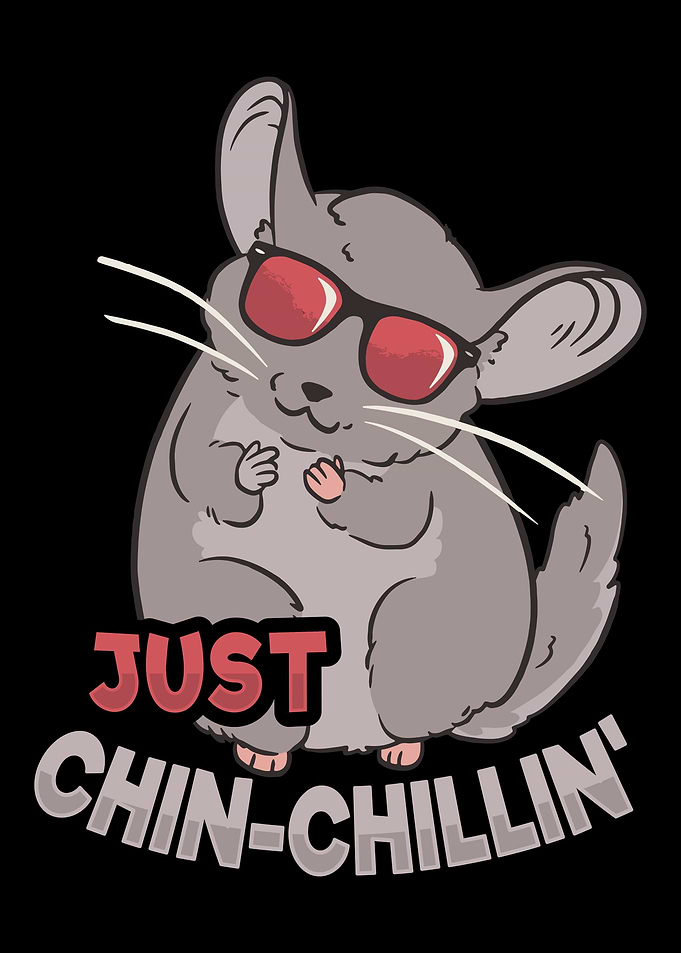 Chinchilla Owner