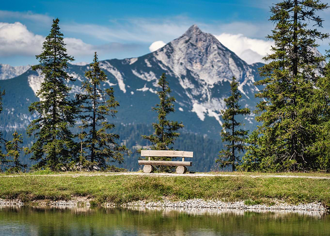 Bench of silence