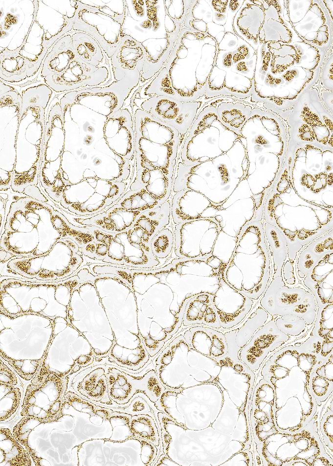Luxury White Marble 03