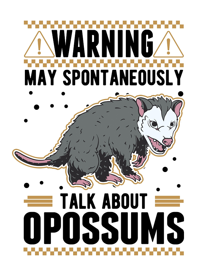 Possum Gift Opossum