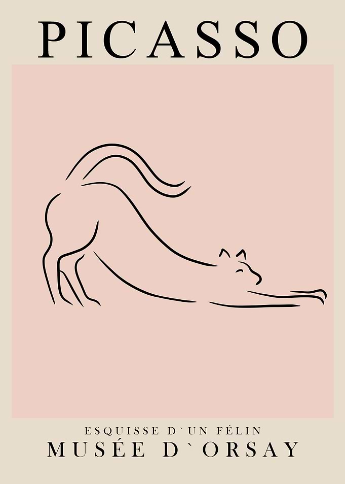 Picasso