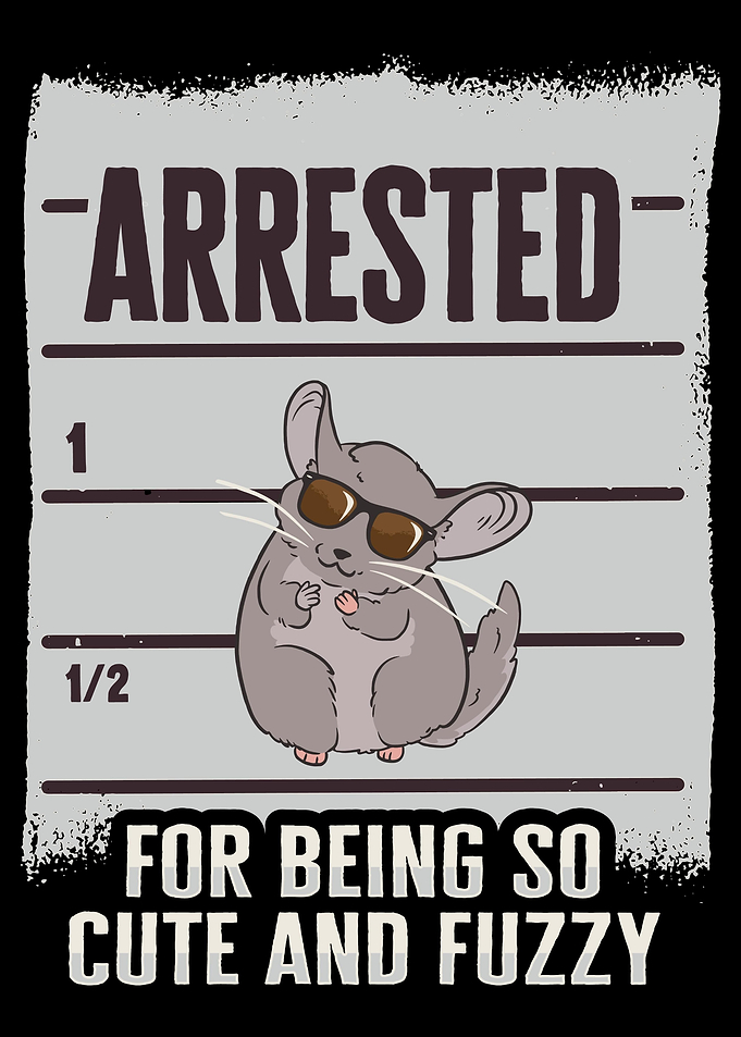 Chinchilla Owner