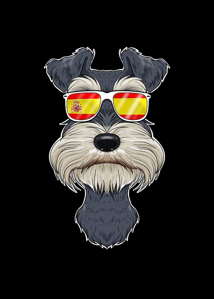 Miniature Schnauzer Spain