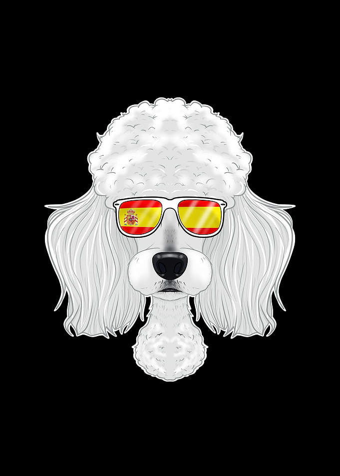 Poodle I Spain Sunglasses