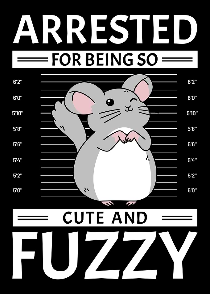 Chinchilla Owner