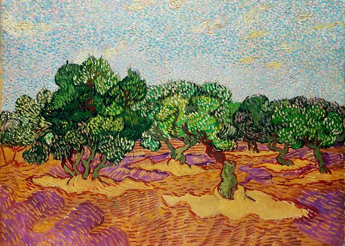 Olive Trees 1889 van Gogh
