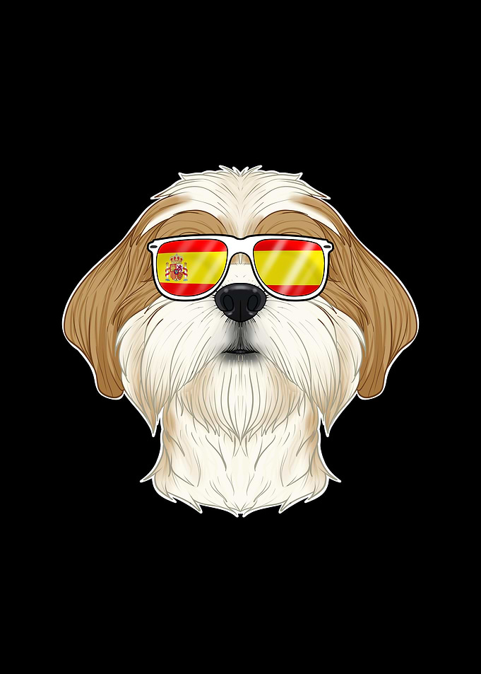 Shih Tzu I Spain