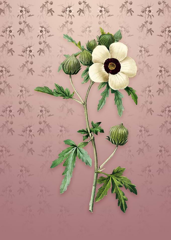 Vintage Venice Mallow