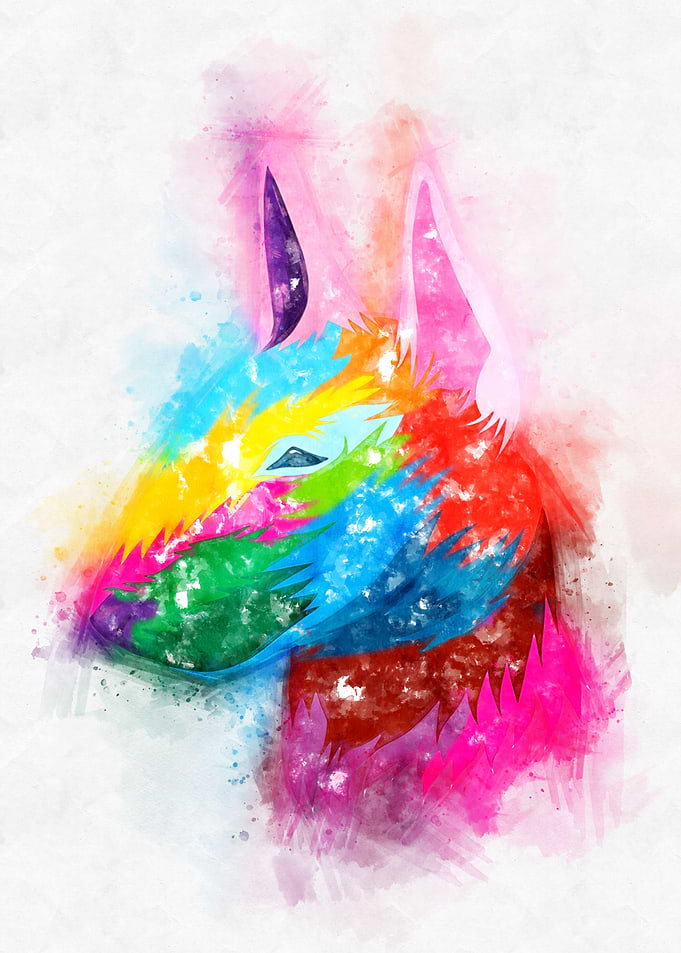 Bull Terrier Head