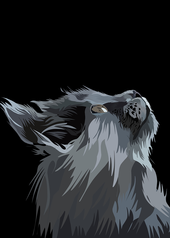 Pet dog in vector style