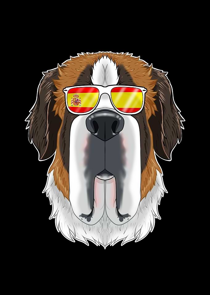 Saint Bernard I Spain