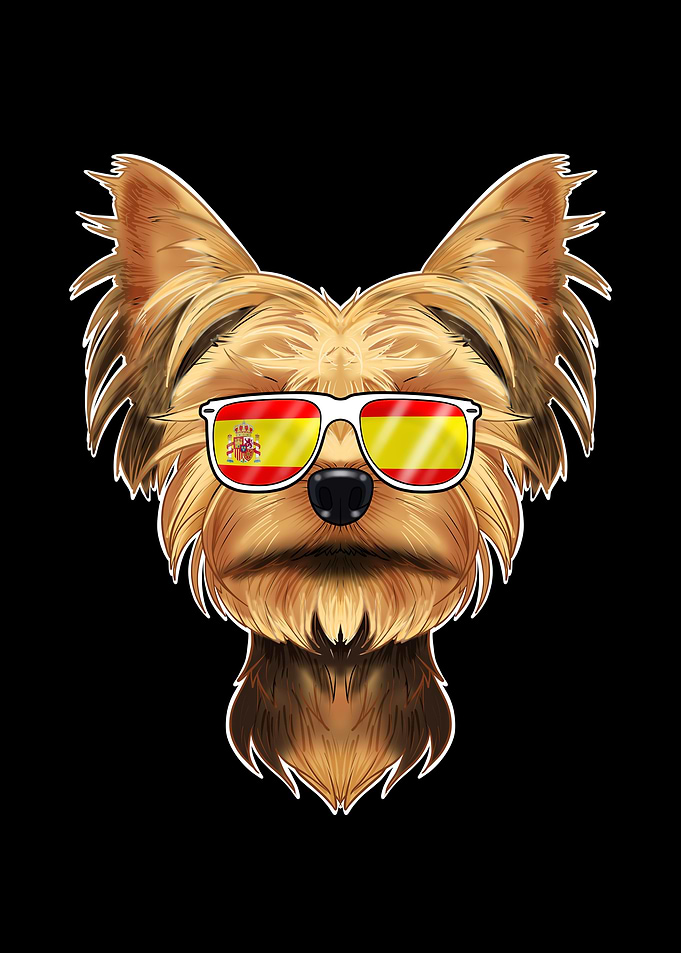 Yorkshire Terrier I Spain